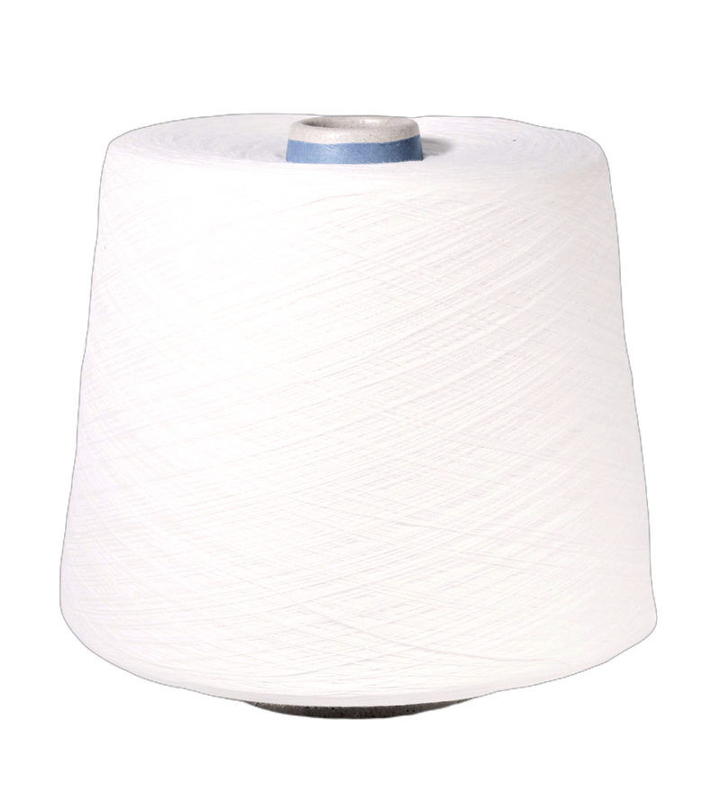 BioSesia Ecological 100 % cotton yarn c. bright white, yarn on cone
