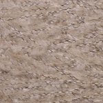 Kelly, soft wool with black polyamide c.3 light beige